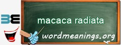 WordMeaning blackboard for macaca radiata